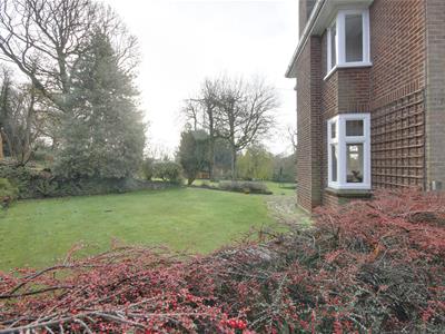 Picture 30